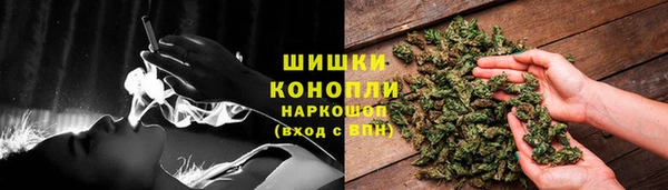 гашик Нефтекумск