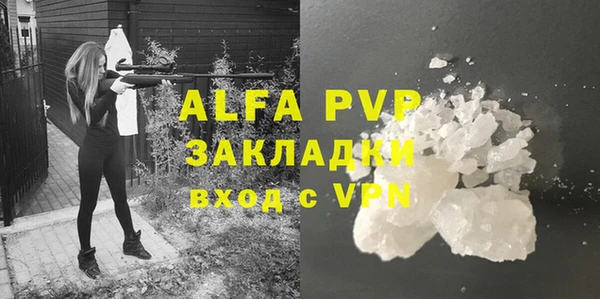 стафф Новокубанск