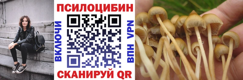 где найти наркотики  Ленск  Псилоцибиновые грибы мицелий 